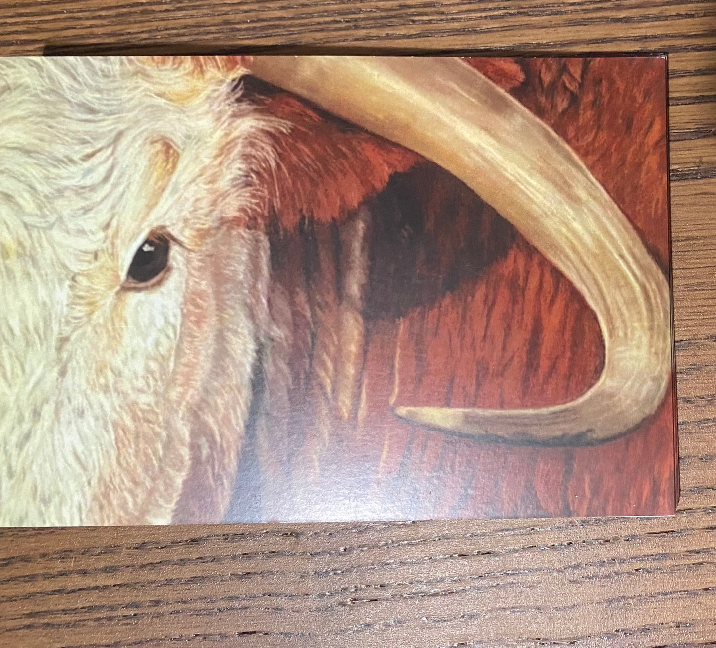 Birthday Card 6x4" Print of Wellfield Irish - Pastel on Velour - 600 x 400mm