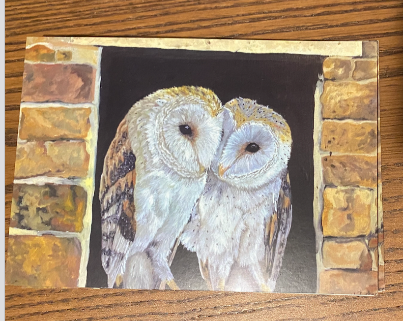 Card 4x6" Print off Owl Sisters Conwy & Derbyshire Barn Oil on Canvas