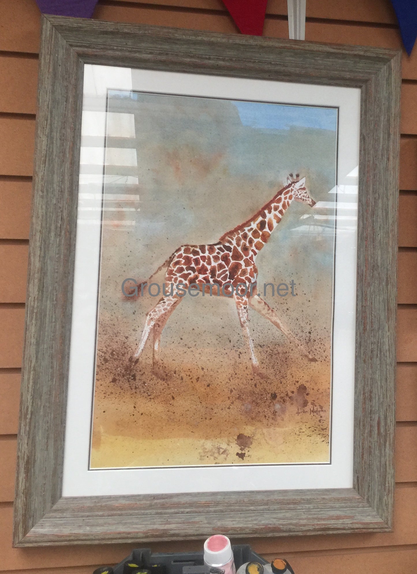 Galloping Giraffe - Watercolour Framed  Collection Only