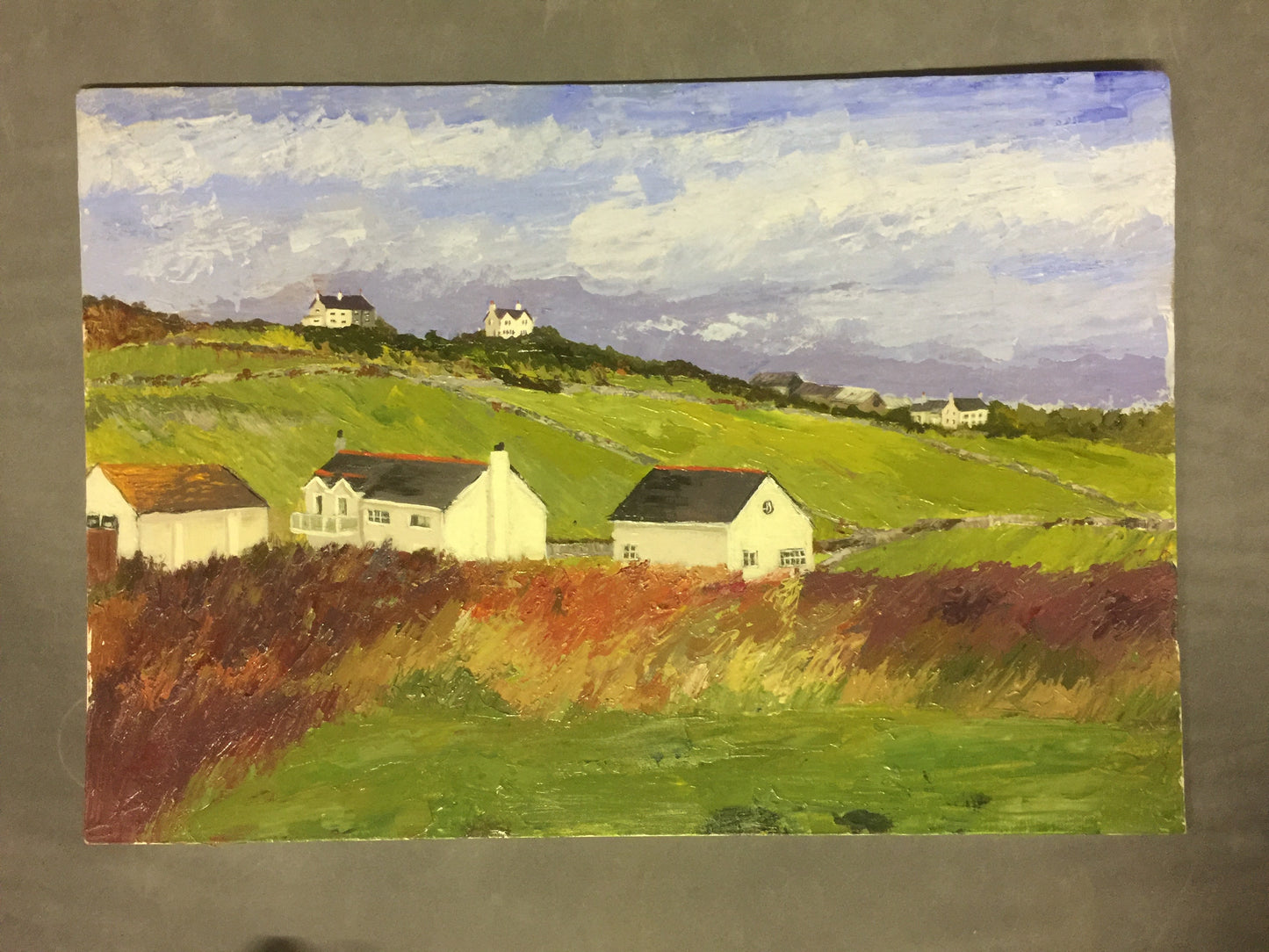 The Garden House, Rhoscolyn. Original Acrylic on Canvas Board