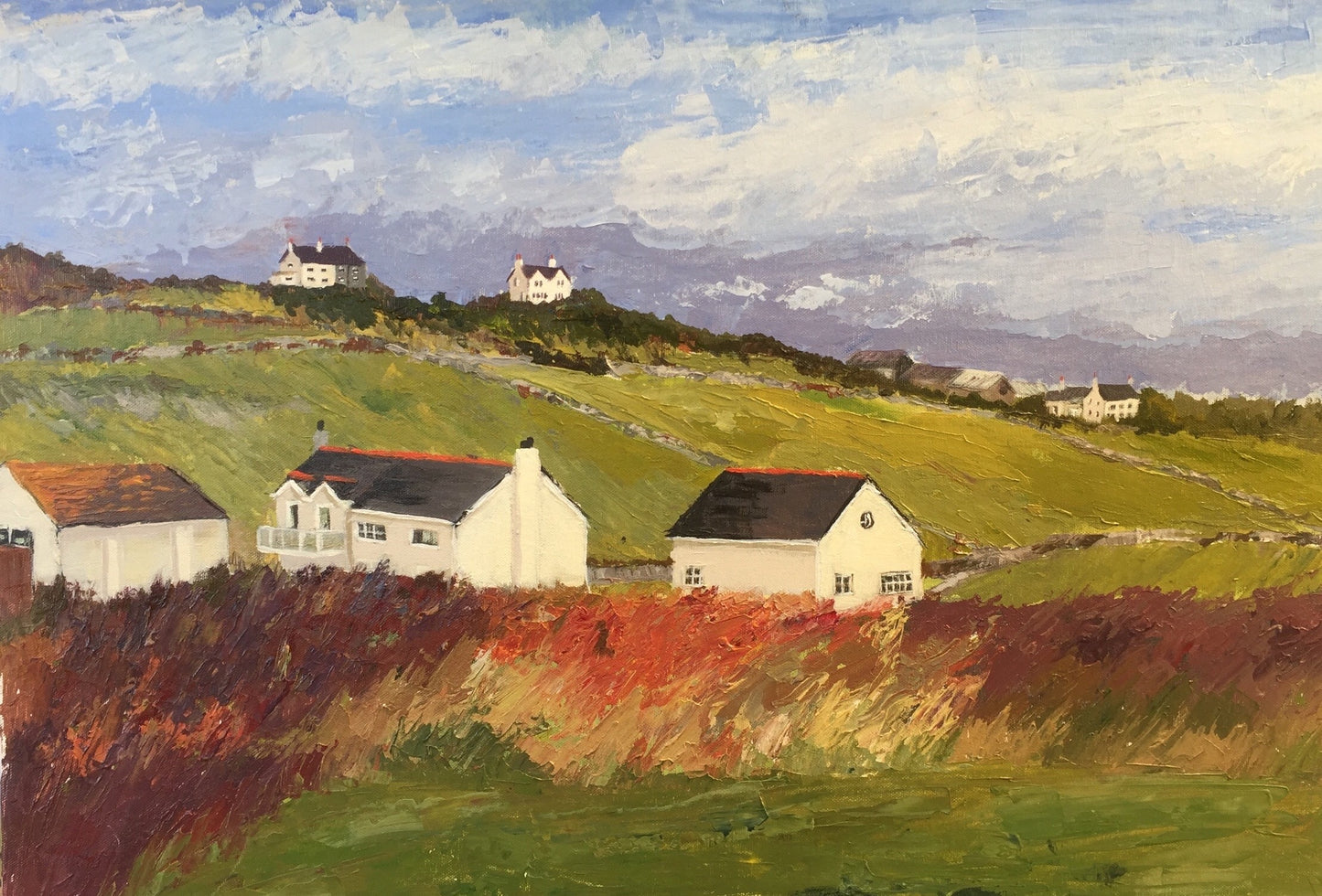 The Garden House, Rhoscolyn. Original Acrylic on Canvas Board