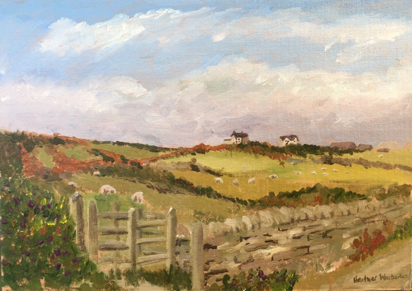 View From The Point Rhoscolyn - Gate Oil on Board