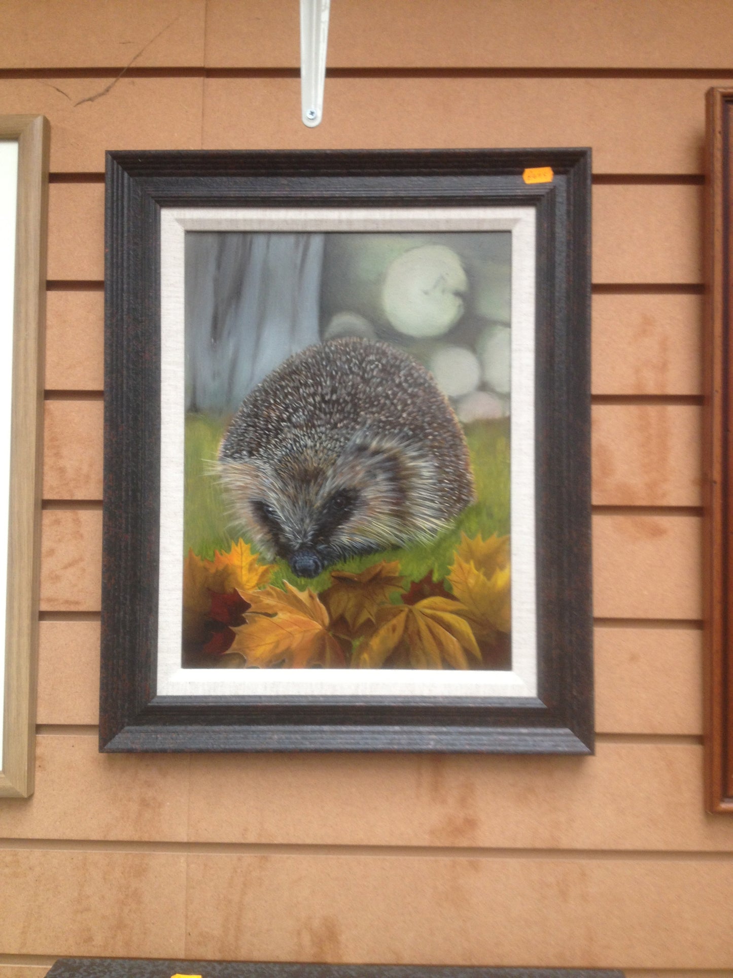 Shy Hedgehog in the Garden - SOLD  Original Oil ON Canvas