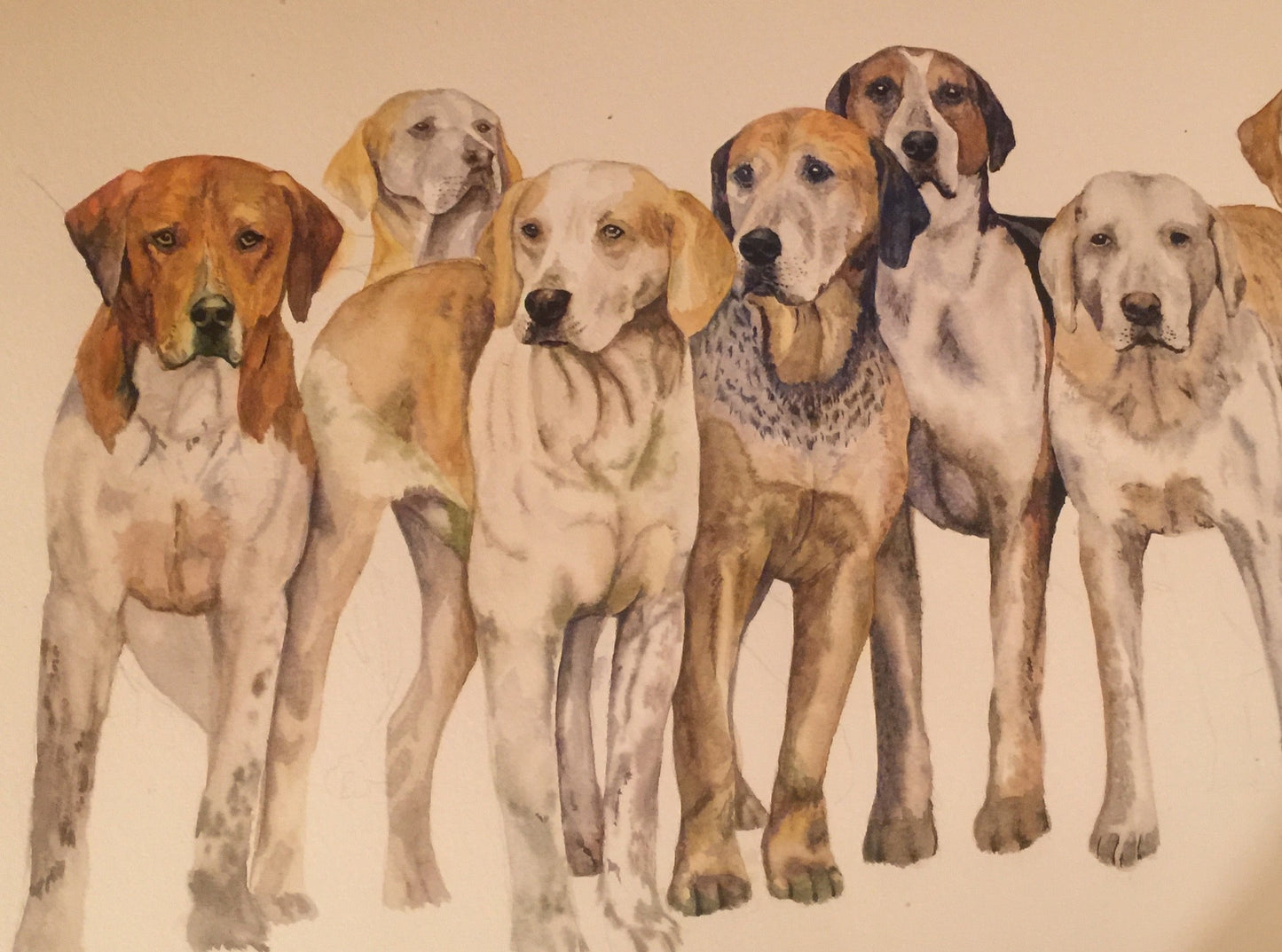 Staffordshire Moorlands Hounds - Watercolour Sold