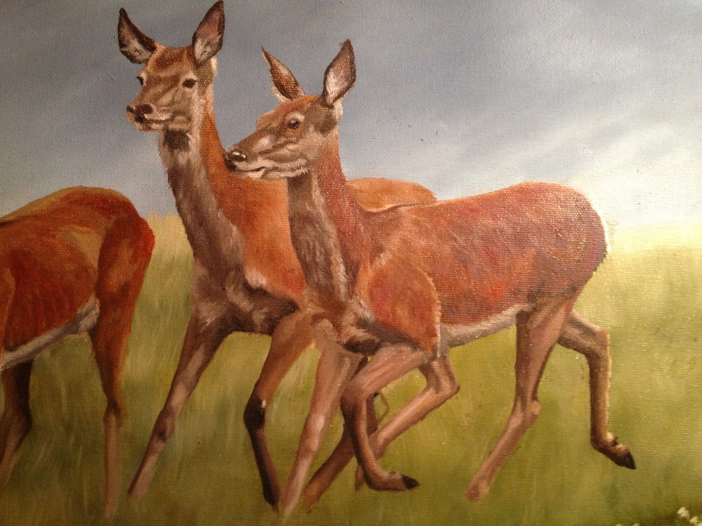 Deer on the Run Oil on Canvas 48" x 18" ORIGINAL Frames