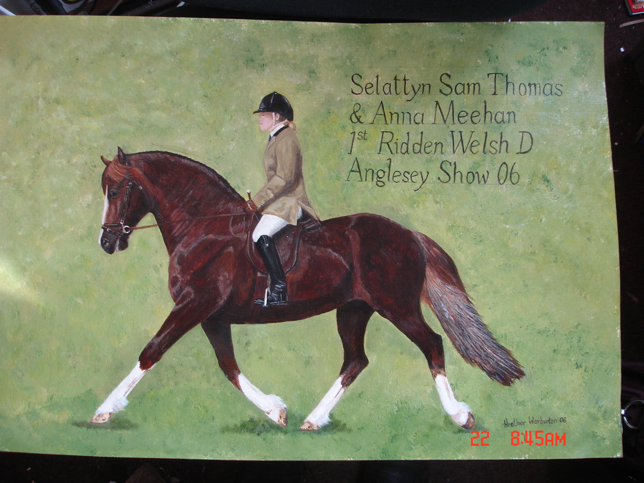 Welsh Cob Commission