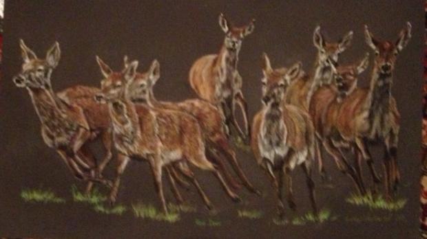 Pastel Sketch for Deer on the Run - Original Framed