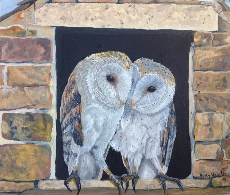 Owl Sisters Conwy & Derbyshire Barn Oil on Canvas Original Frames